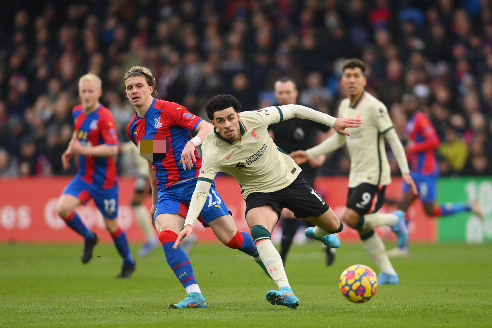 推荐给合适 推荐给合适